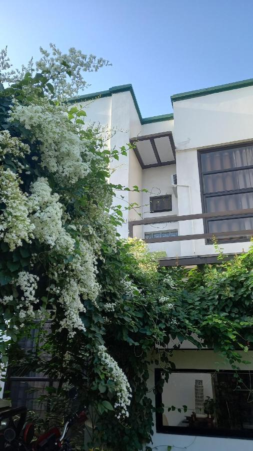 Sofiatel Rooms Santa Maria  Dış mekan fotoğraf